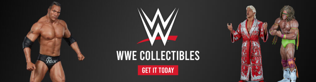 WWE Action Figure Toys