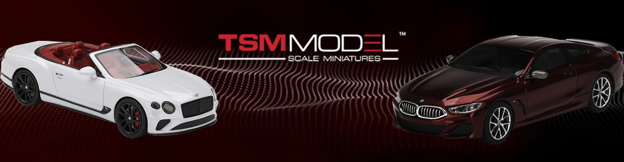 Tsm Model