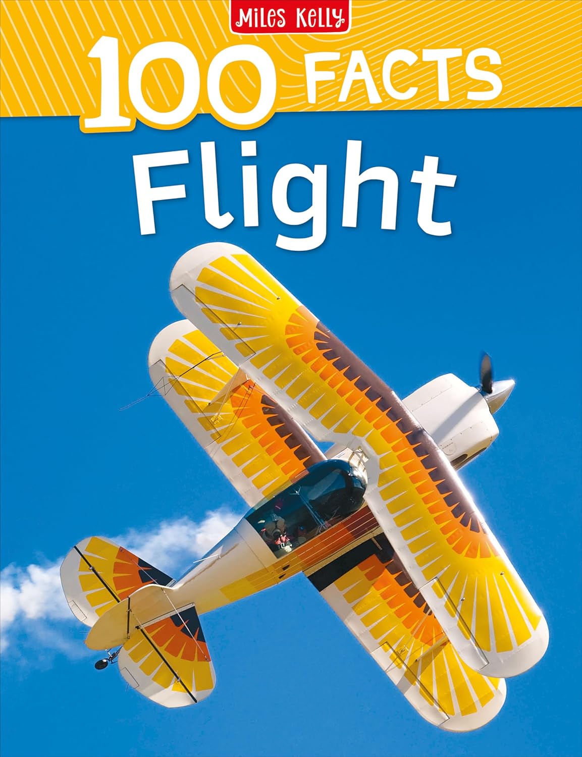 100 FACTS FLIGHT PAPERBACK 