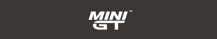 Mini Gt