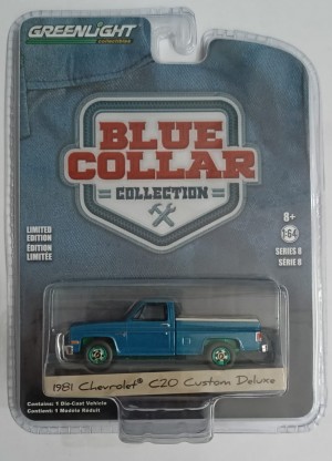 1981 CHEVROLET C20 CUSTOM DELUXE GREENLIGHT CHASE